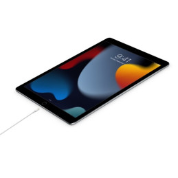 Kabel Apple  USB-C na Lightning 2m