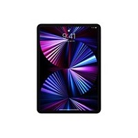 iPad Pro 11 2022/2021 (4/3 gen.)