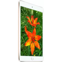 iPad mini 2  / 3
